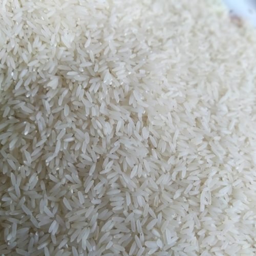 Chintu Rice